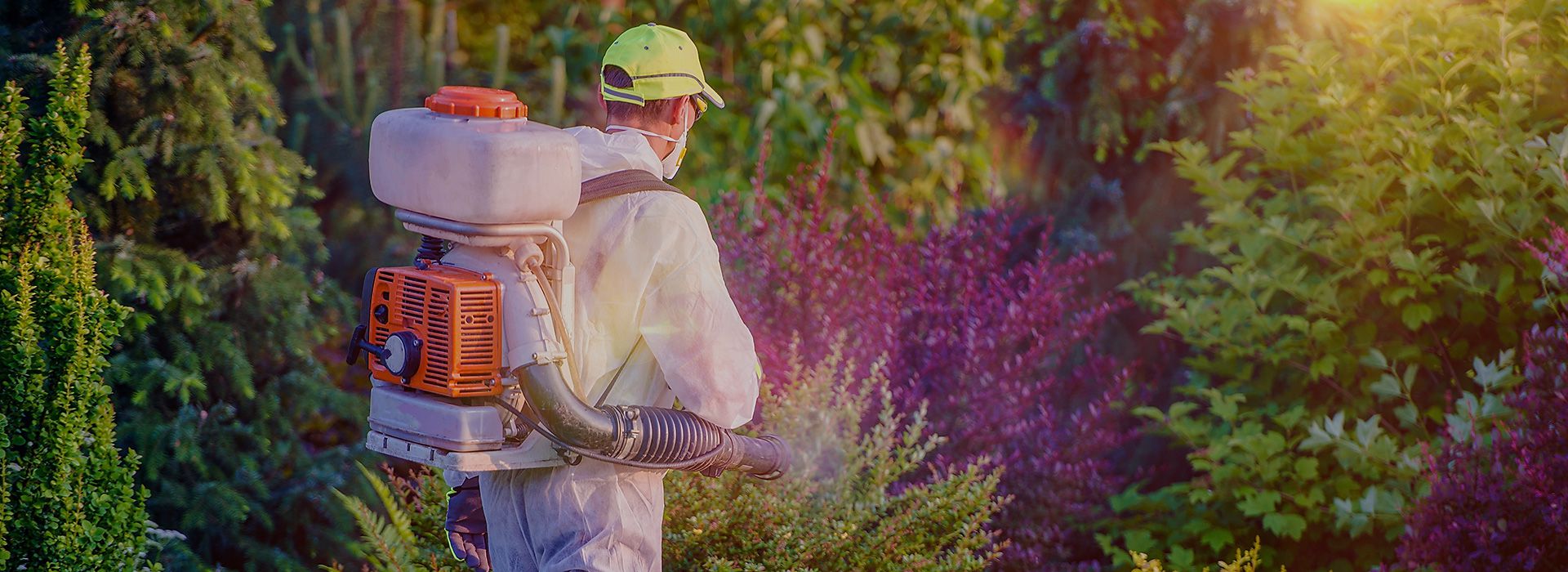 Un operatore esegue un trattamento in un giardino.
