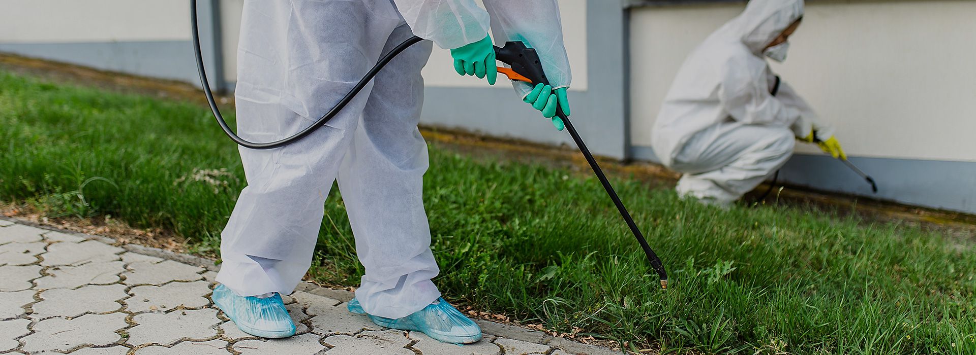 Due operatori effettuano un intervento di disinfestazione in giardino.
